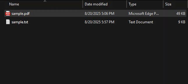 Generated text file from PDF conversion